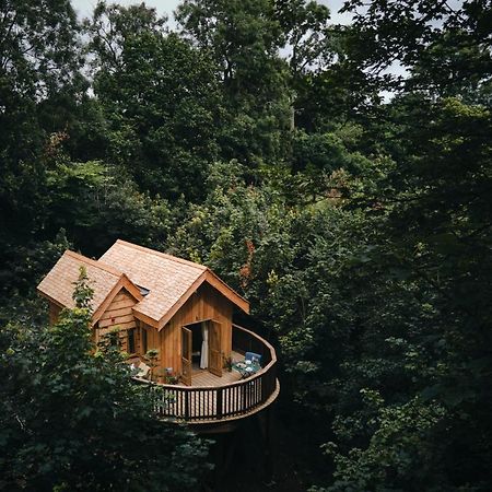 Wildhive Callow Hall Ashbourne  Esterno foto